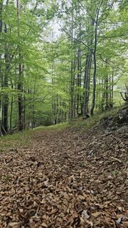Foto de Stefan Holzinger a lo largo del recorrido