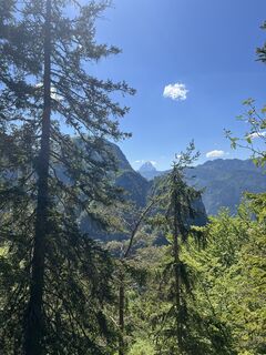 Photo de Miczur le long du parcours