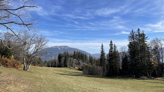 Photo de Brge68 le long du parcours