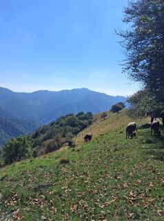 Photo de giorgio franchi le long du parcours