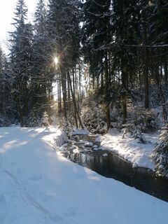 Foto de Ingo a lo largo del recorrido