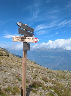 Photo de King Kong le long du parcours