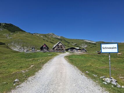 Fotografie z Karl Strauss na trase