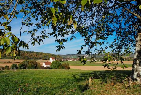 Saint Martin des Champs - Oltingue