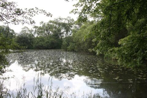 Neißesee in Görlitz