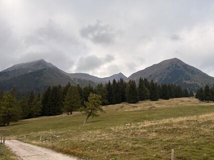 Fotografija s spletne strani Michele Passante na poti