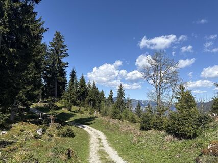 Foto de Similaun a lo largo del recorrido
