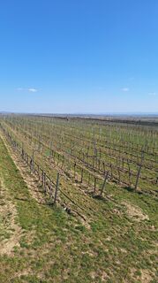 Foto von erwinso entlang der Tour