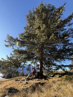 Foto von Berg Noar entlang der Tour