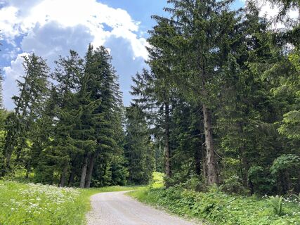 Photo de Heinz Sperl le long du parcours