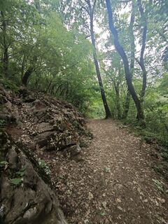 Photo de Katona Ferk Mariann le long du parcours