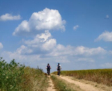 Mit dem Fahrrad durch die Felder