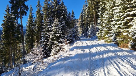 Fotografie z Karl Kriegseisen na trase