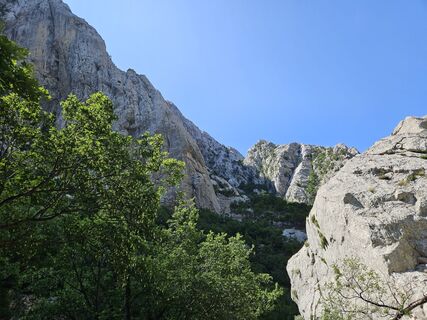 Zdjęcie z Mario Stanke wzdłuż trasy