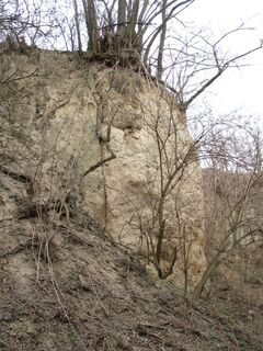 Lösswand