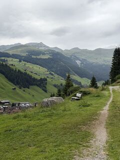 Photo de Patrizia Payer le long du parcours