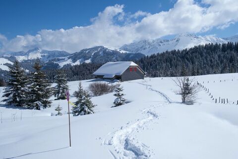 Weg - Schwyberg Trail