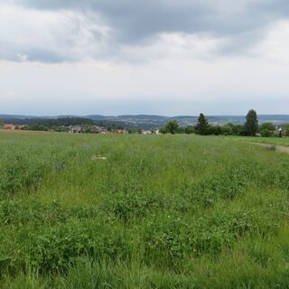 Herrliche Weitsicht auf Calw und das Heckengäu