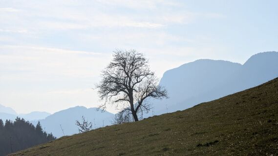 Foto von Gudrun Lippert entlang der Tour