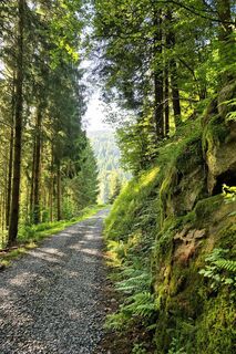Von St. Roman hin ab ins Tal