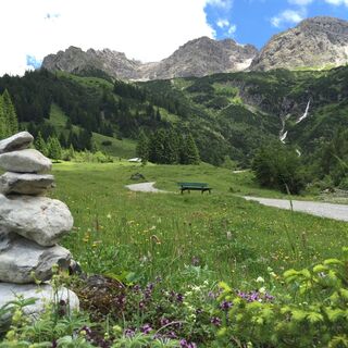 Wildental mit den drei Schafalpköpfen