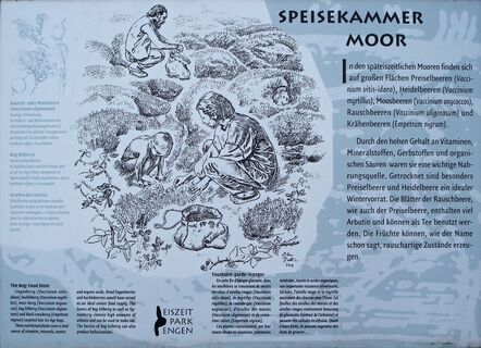 Speisekammer Moor