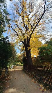 Фото с сайта Regina Fleischmann во время экскурсии