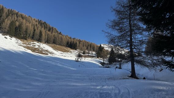 Fotografija s spletne strani ROBERTO BONIOTTI na poti