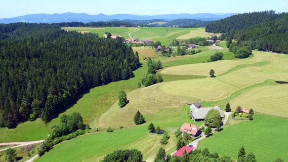 Blick auf den Fohrenbühl