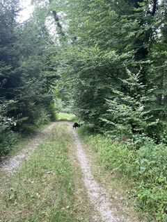 Foto von Patricia Schmale entlang der Tour