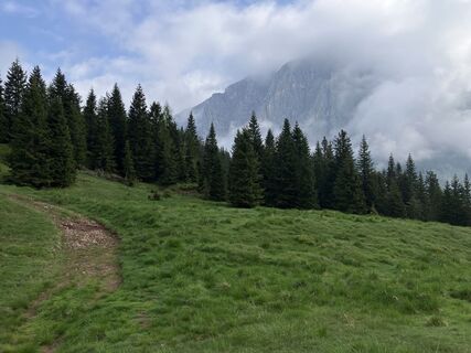 Фото с сайта michelegrassi во время экскурсии