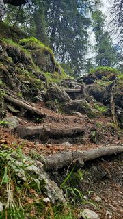 Photo de Grieshofer Gerlinde le long du parcours