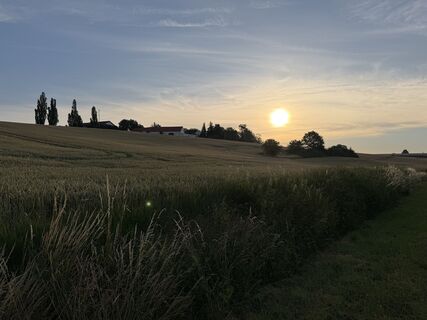 Foto von Schaali entlang der Tour