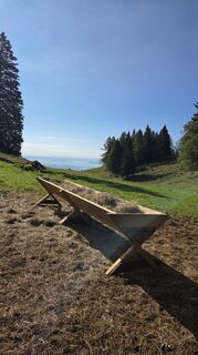Foto von Klementina Gartner entlang der Tour