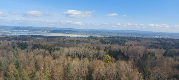 Fotografia z brauni69 na trase