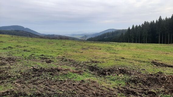Zdjęcie z Georg Meisterjahn wzdłuż trasy