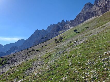 Photo de M Schnaitter le long du parcours