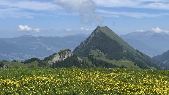 Foto fra Rainer Jellinek undervejs på turen