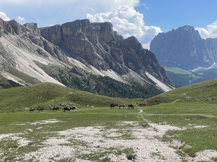 Fotografia z Nikolaus Ludwig 1 na trase
