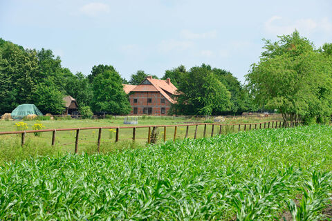 Reiterhof in der Nähe von Wesendorf in der Südheide GifhornCC0 FB Naturtour_Pferdehof1.jpg