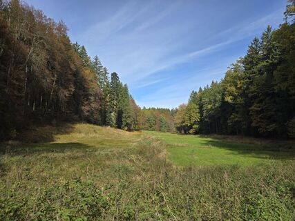 Zdjęcie z enipeus 65 wzdłuż trasy