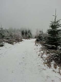 Photo de Roswitha le long du parcours