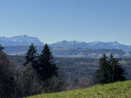 Фото с сайта Denise Miller во время экскурсии