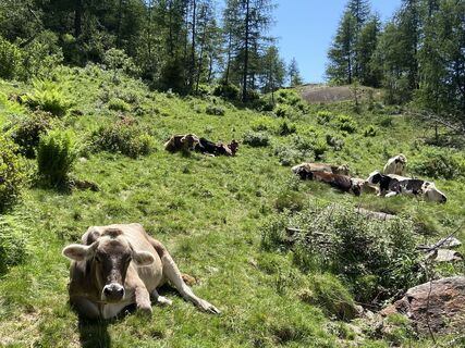 Photo de Michel SC le long du parcours