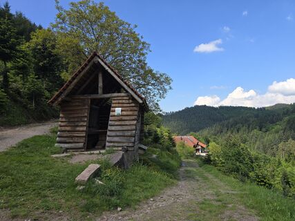 Fotografie z Michel Kennel na trase