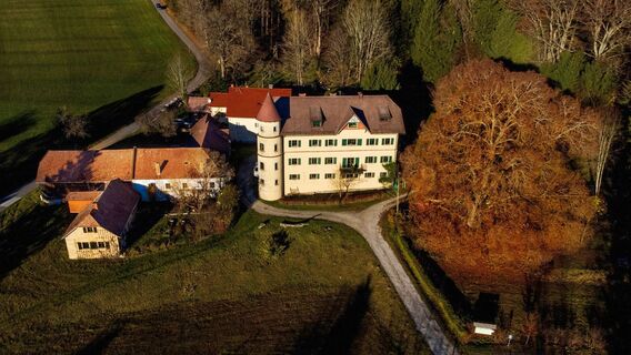 Drohne Schloss Brunnwald.jpg