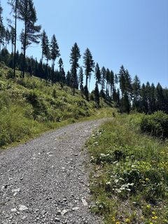 Foto von Heinz Sperl entlang der Tour