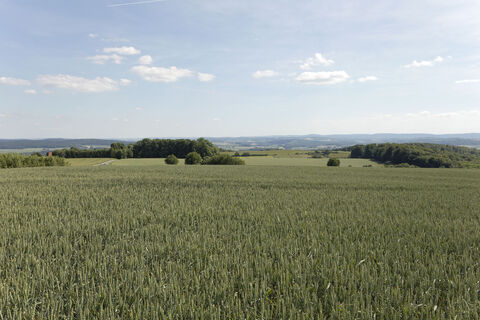 Landschaft am Kleeberg 4 CC BY-SA - LTM.jpg