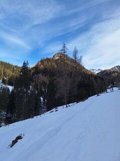Fotografia z Dagmar Hofer na trase