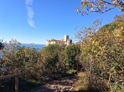 Foto von EdithVorlen entlang der Tour